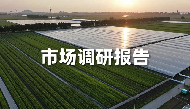 项目管理中应用场景的性能表现与适用条件分析
